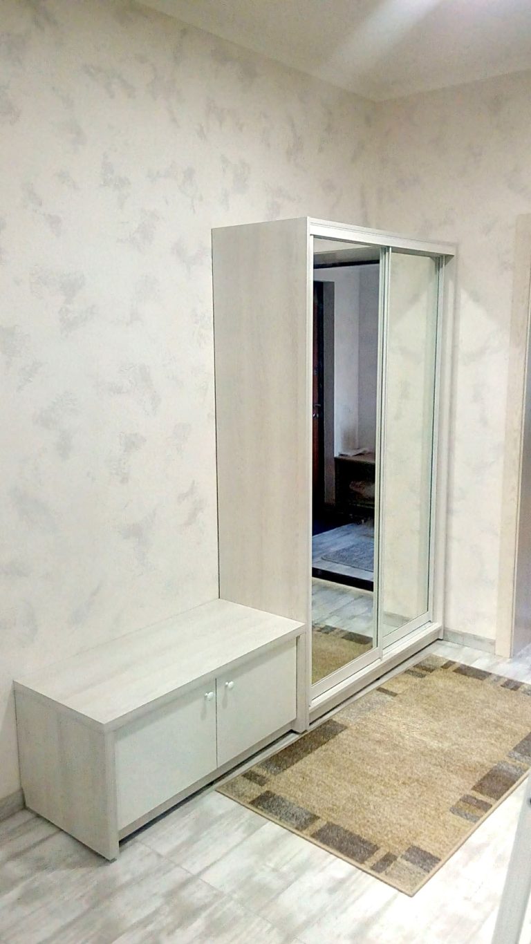 Дзеркальна дводверна шафа-купе у передпокій р-0012